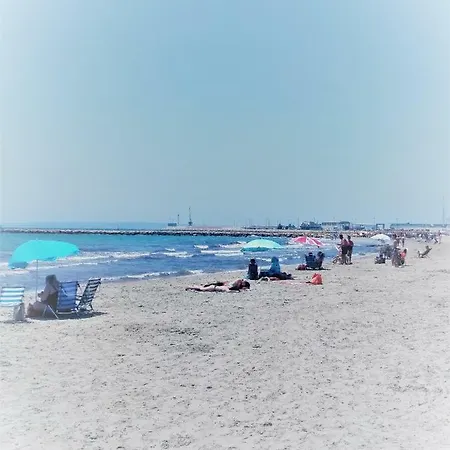 Apartamento A 50 Metros De La Playa En
